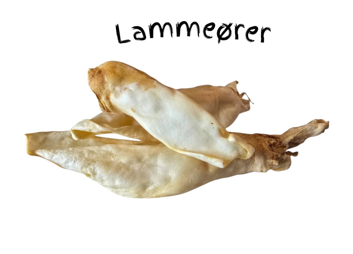 Lammeører