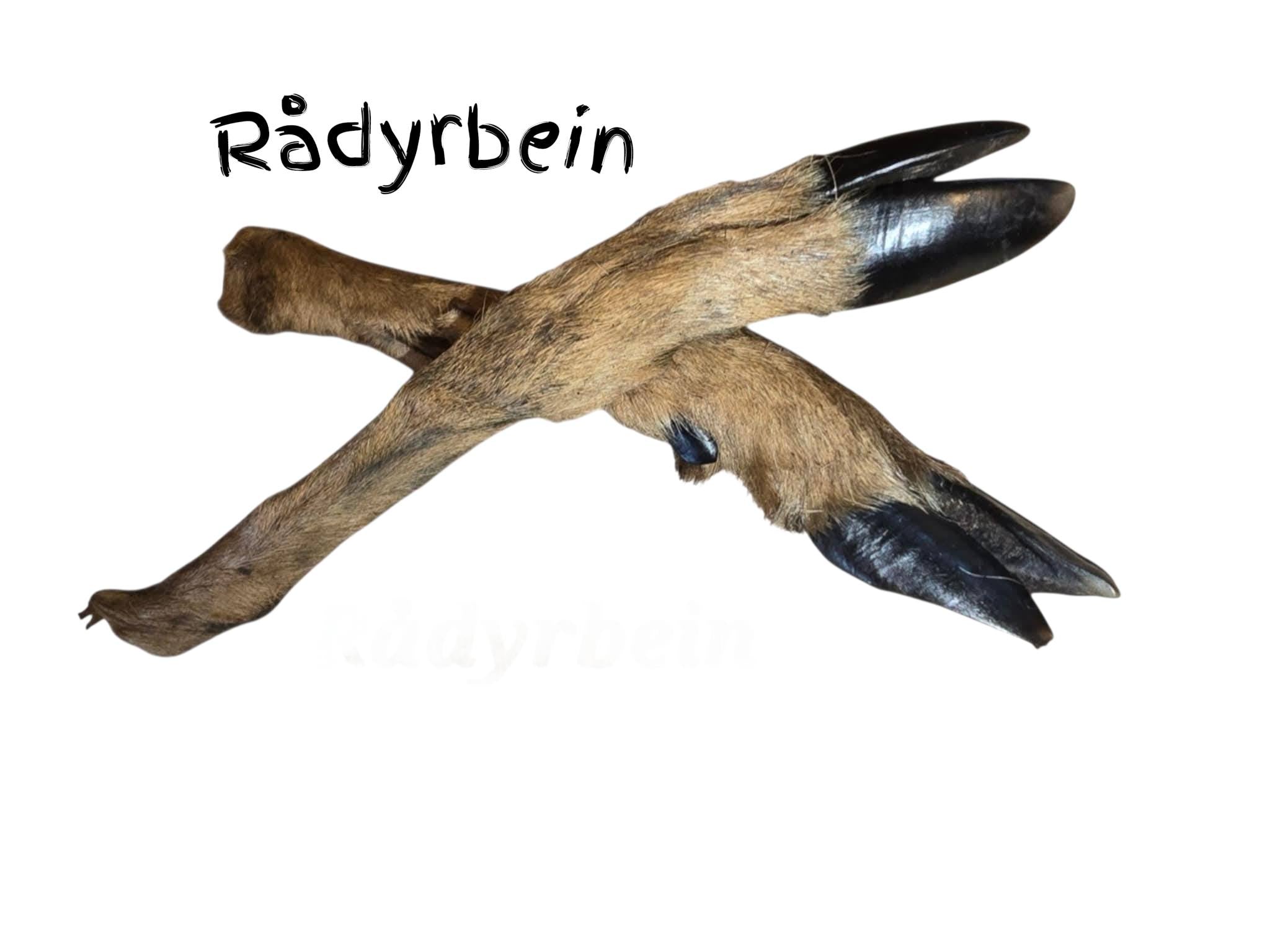 Rådyrbein