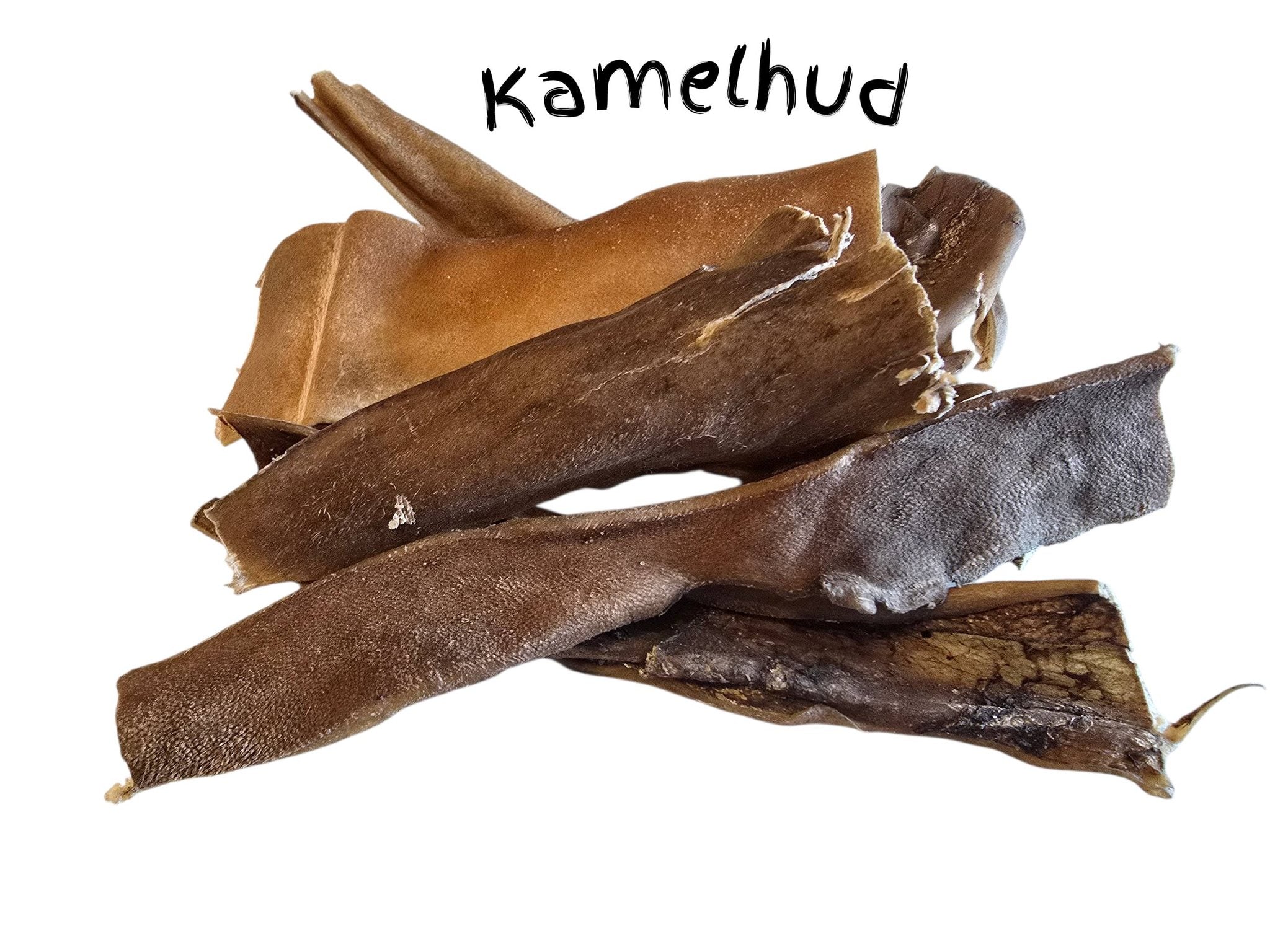 Kamelhud