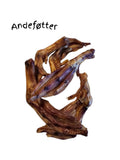 Andeføtter