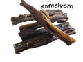 Kamelvom