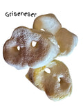Griseneser hvit