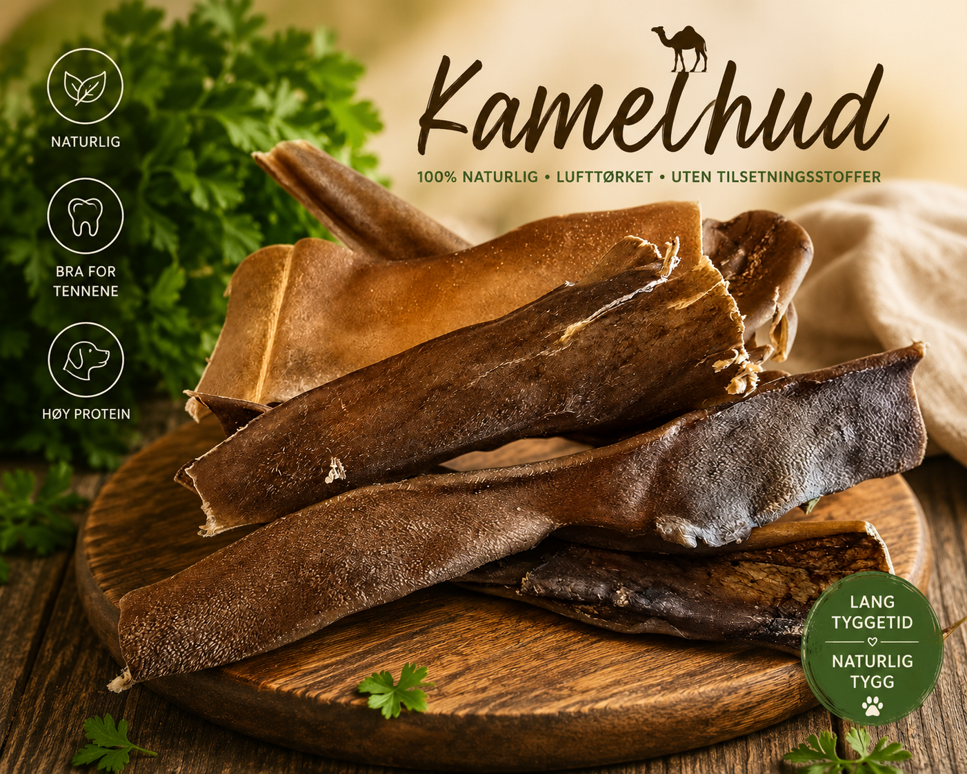 Kamelhud