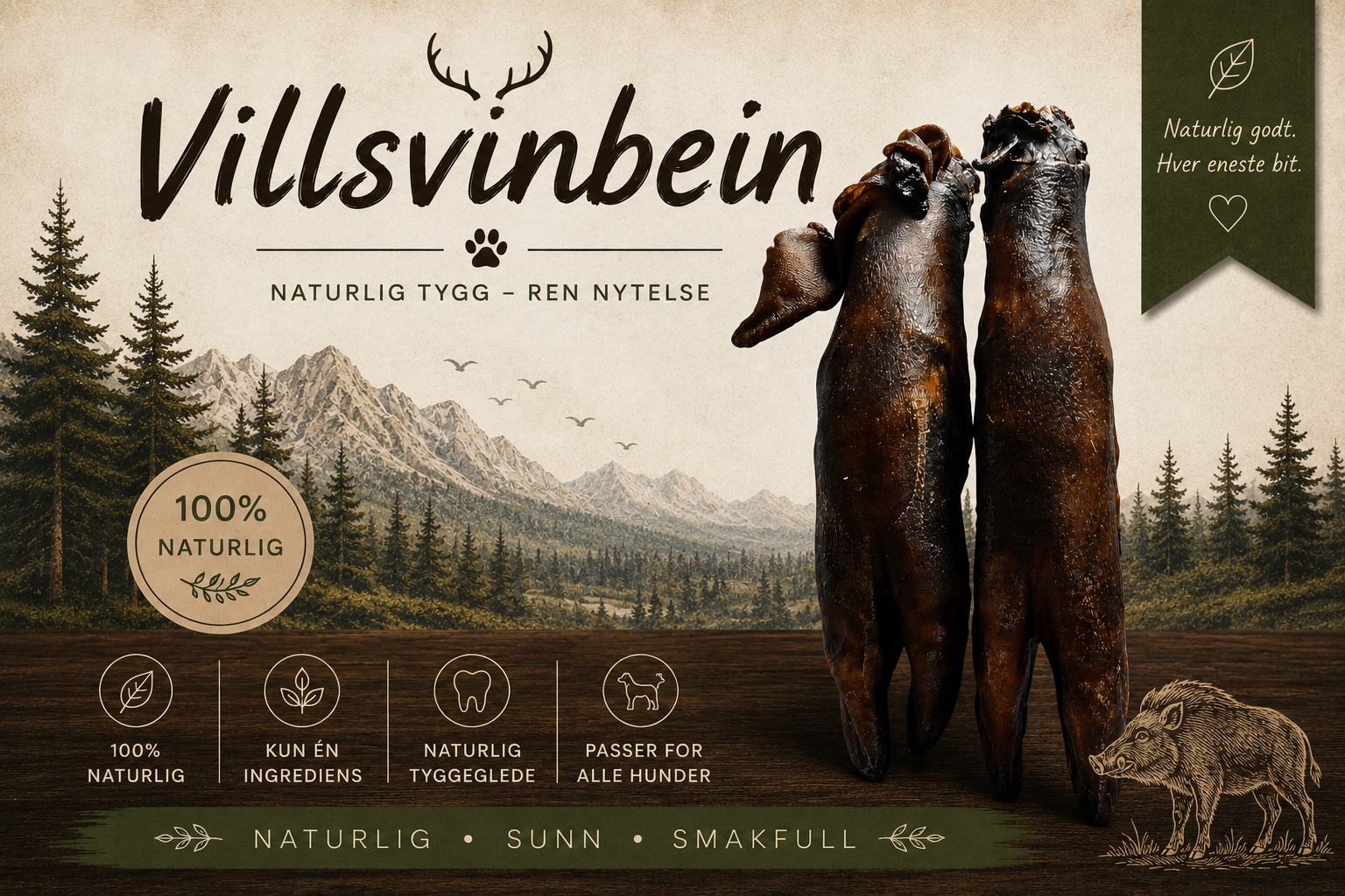 Villsvinbein